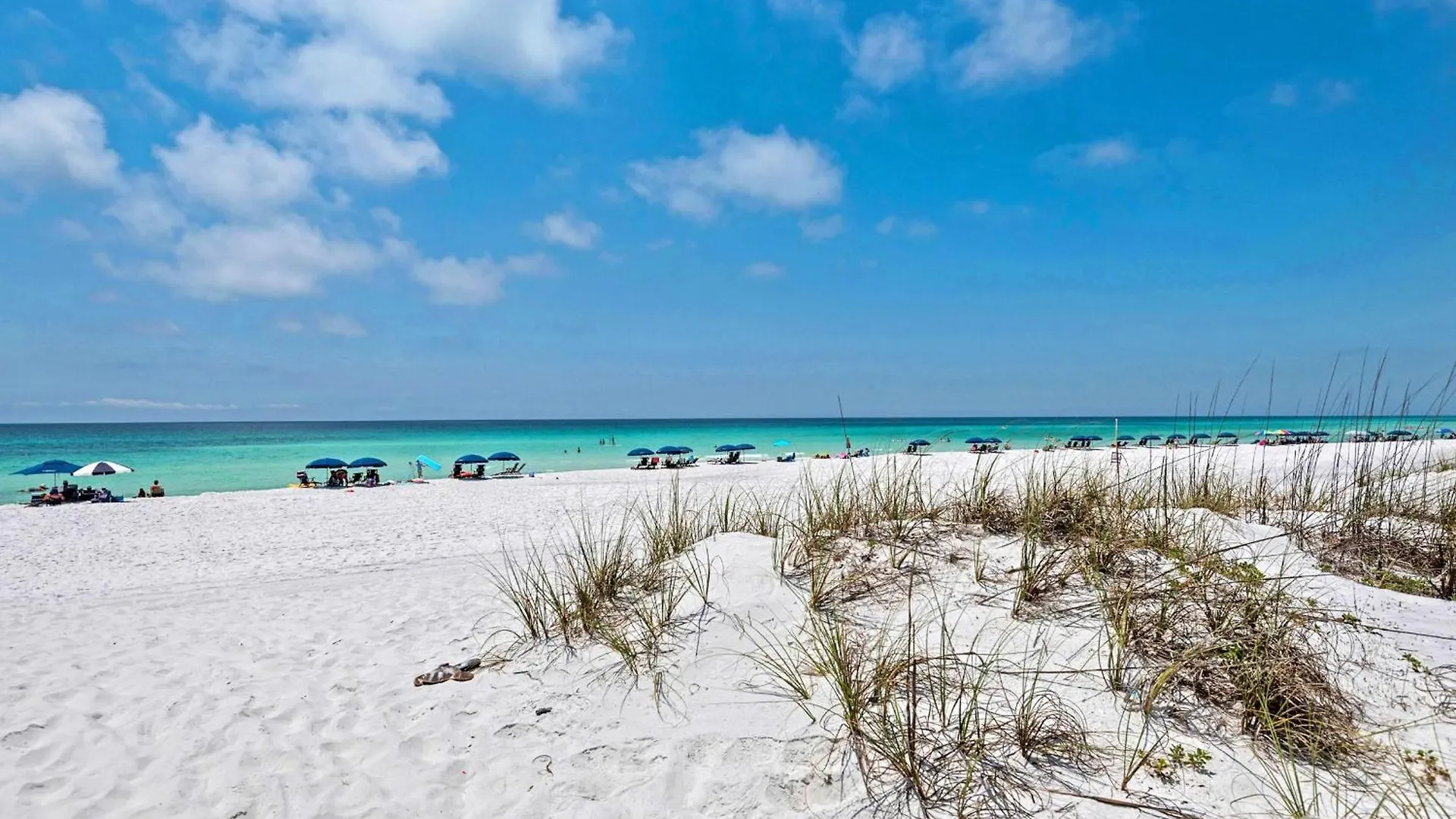Seaglass Shack Destin 0*,